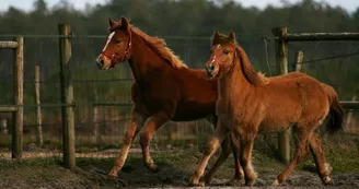 Ranch C Ranch C