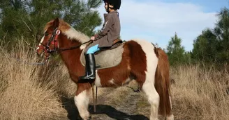 Ranch D Ranch D