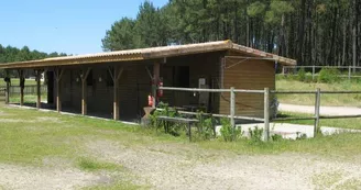 Ranch 1" Ranch 1"