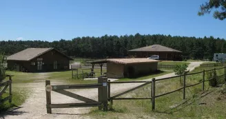 ranch 2" ranch 2"