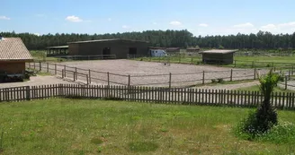 Ranch 4" Ranch 4"