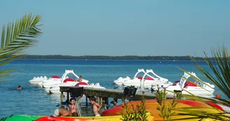 IMG_4839 (1) IMG_4839 (1)