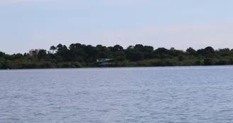 pêche-en-eau-douce6-grands-lacs-landes pêche-en-eau-douce6-grands-lacs-landes