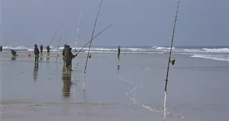 surfcasting surfcasting