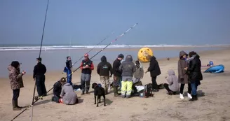 surfcasting_New1 surfcasting_New1