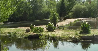 Pêche à la truite-parentis-env2 Pêche à la truite-parentis-env2