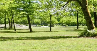 IMG-0959 IMG-0959
