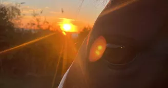 les-ecuries-de-l-hacienda-crepuscule les-ecuries-de-l-hacienda-crepuscule