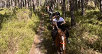 les-ecuries-de-l-hacienda-rando-cheval les-ecuries-de-l-hacienda-rando-cheval