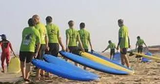 Kiwi surf1 Kiwi surf1