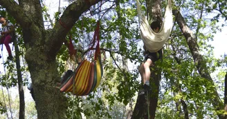 Grimpe d'arbre 4 Grimpe d'arbre 4