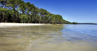 Bisca-plage-lac Bisca-plage-lac