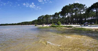 Biscarrosse-lac-maguide Biscarrosse-lac-maguide