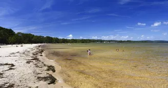 Lac_Bisca_cazaux_sanguinet Lac_Bisca_cazaux_sanguinet