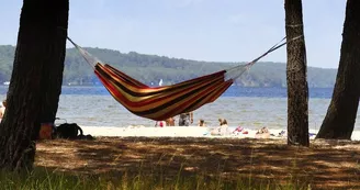 Plage du lac de Biscarrosse_landes Plage du lac de Biscarrosse_landes
