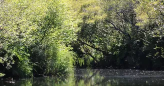 barques-balades-biscarrosse-lac-sud-5 barques-balades-biscarrosse-lac-sud-5