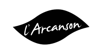 logo-Arcanson logo-Arcanson