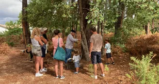 Gemmage_Groupe__Conservatoire_Landes_Gascogne Gemmage_Groupe__Conservatoire_Landes_Gascogne