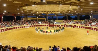 ARENES_PARENTIS ARENES_PARENTIS