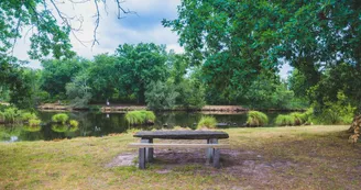 etang-des-forges-ychoux etang-des-forges-ychoux
