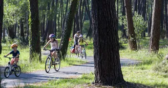 biscarrosse-pistes-cyclables-foret-2.jpg biscarrosse-pistes-cyclables-foret-2.jpg