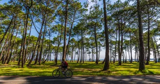 velo-bord-de-lac-arbre-piste-cyclable--3--verneuil.jpg velo-bord-de-lac-arbre-piste-cyclable--3--verneuil.jpg