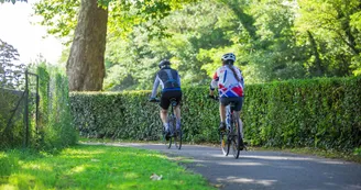 ychoux-velo-pistes-cyclables.jpg ychoux-velo-pistes-cyclables.jpg